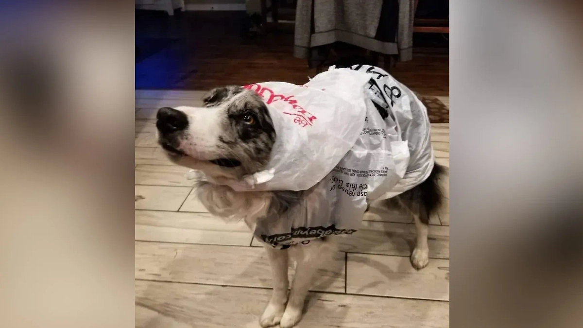 Фото © Reddit / RphilRT