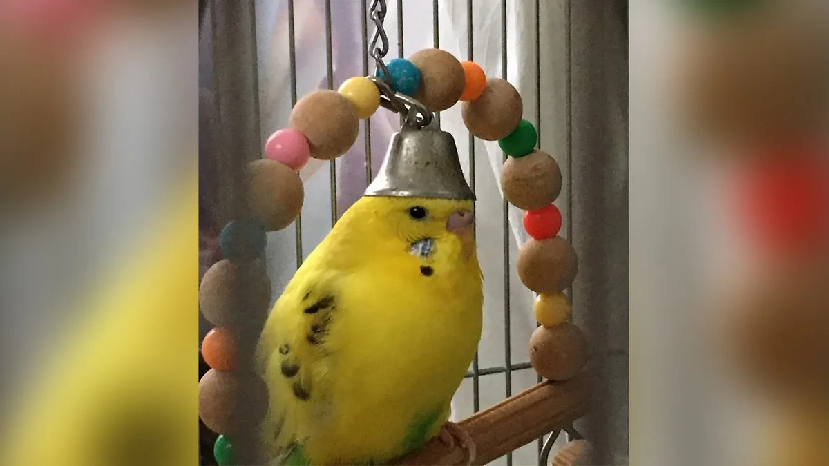 Фото © Instagram (соцсеть запрещена в РФ; принадлежит корпорации Meta, которая признана в РФ экстремистской) / chaotichats