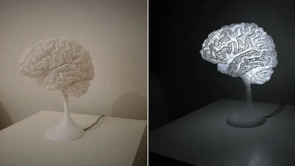 Фото © Reddit / Пользователь Reddit.