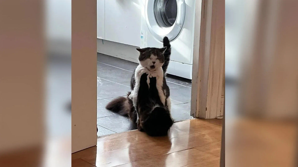 Фото © Reddit / 0MoodIndigo0