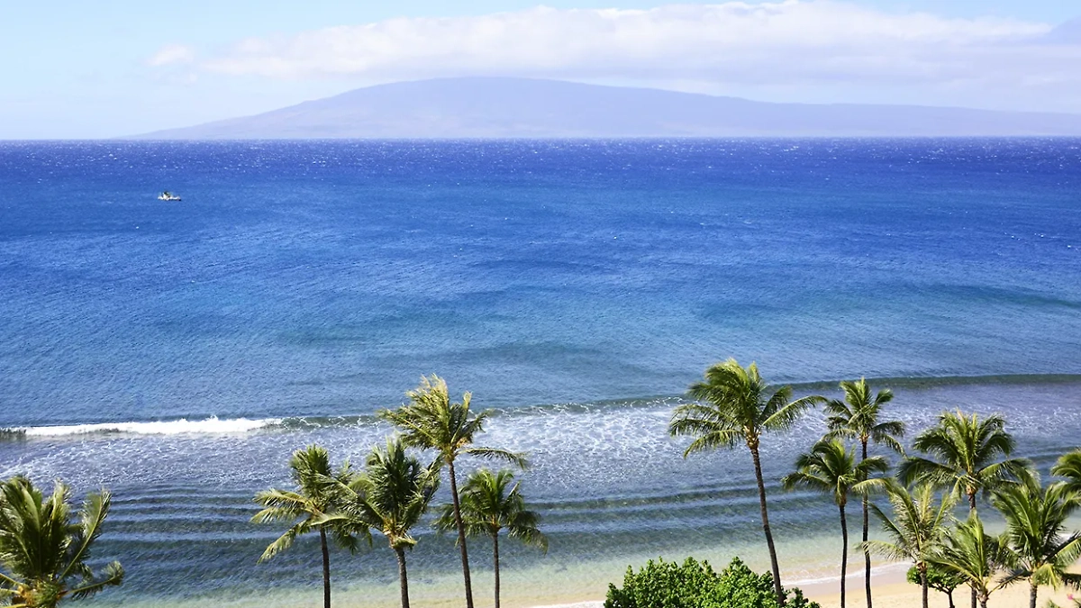 Бирюзовое море, белый тёплый песок и безлимитные коктейли — то, что нужно для восстановления сил. Фото © ТАСС / Ron Sachs