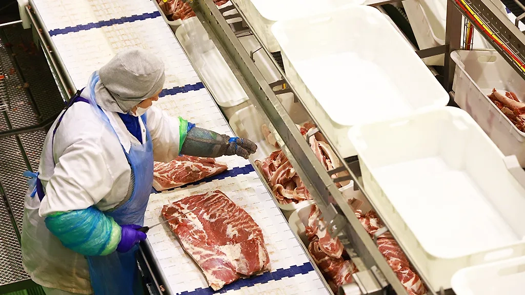 Фото © ТАСС / Сергей Фадеичев