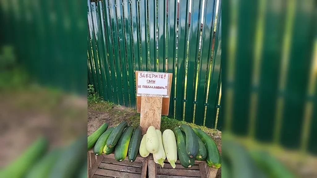 Фото © X / Russia_NC