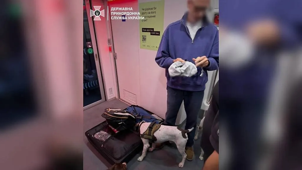 Гражданин Франции, который пытался ввезти на Украину 13 граммов наркотиков. Фото © Telegram / Госпогранслужба Украины