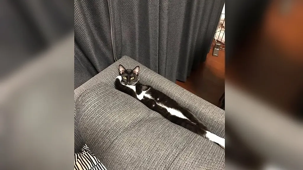 Фото © Reddit / thelonetoxicity