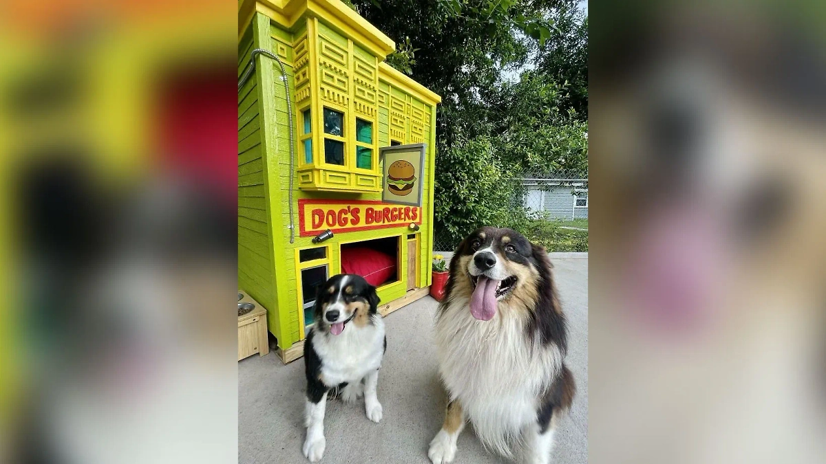 Фото © Reddit / FLiPsiCkLe