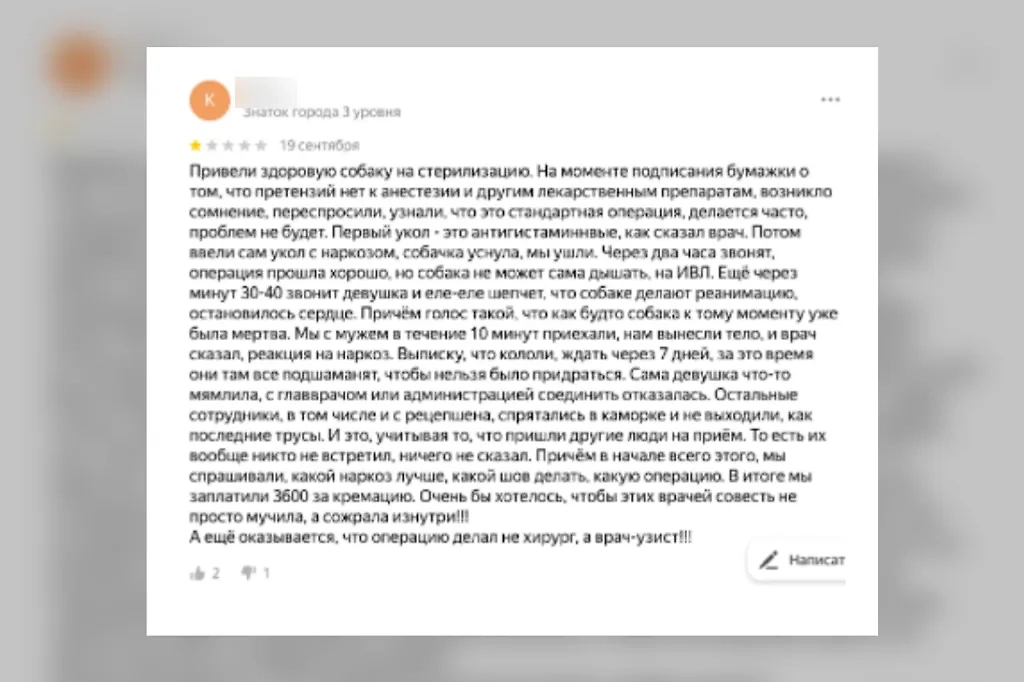 Типичные жалобы на ветеринарные клиники. Фото © Life