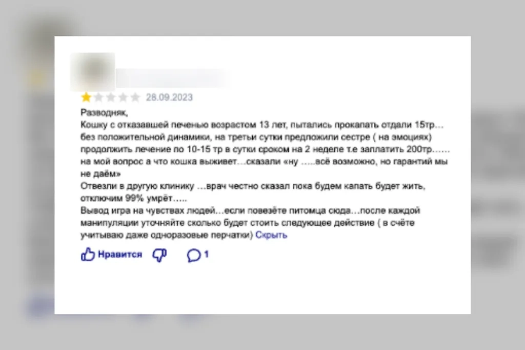 Типичные жалобы на ветеринарные клиники. Фото © Life