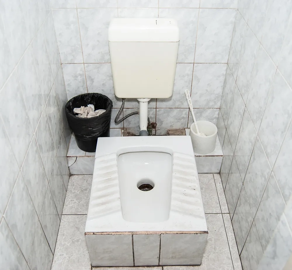 Почему в советских унитазах была полочка: что это и где её искать? Фото © Shutterstock