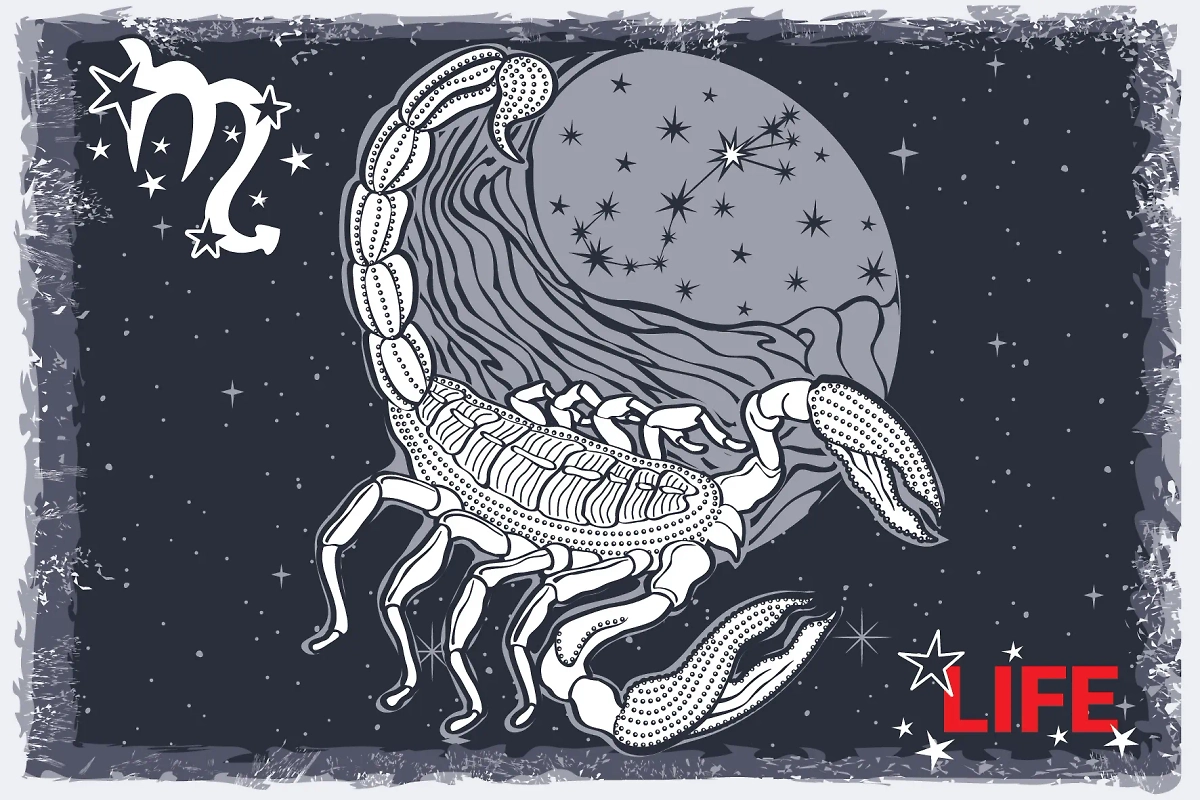 Рунический гороскоп: что ждёт знак зодиака Скорпион на неделе 22–28 декабря. Фото © Life.ru.