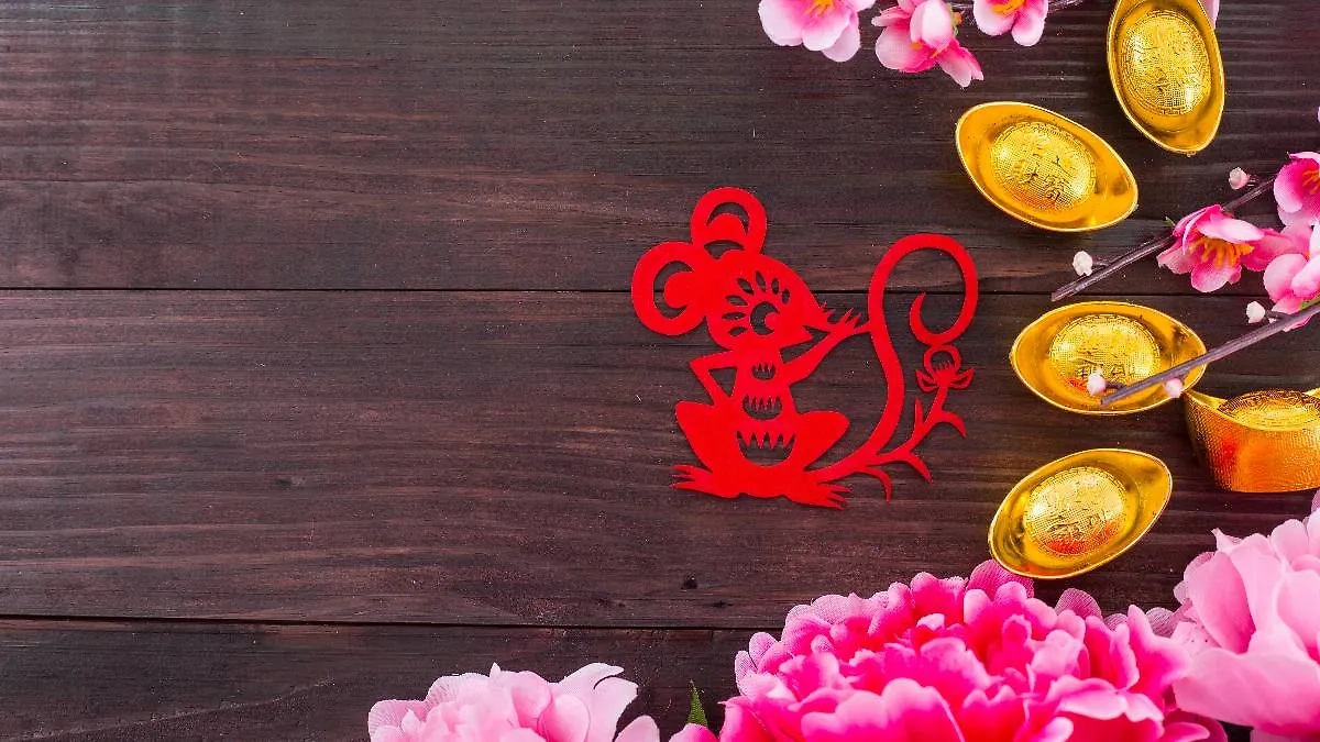 Как пережить ретроградный Меркурий по китайскому гороскопу: Крыса. Фото © Shutterstock / FOTODOM / ShutterOK