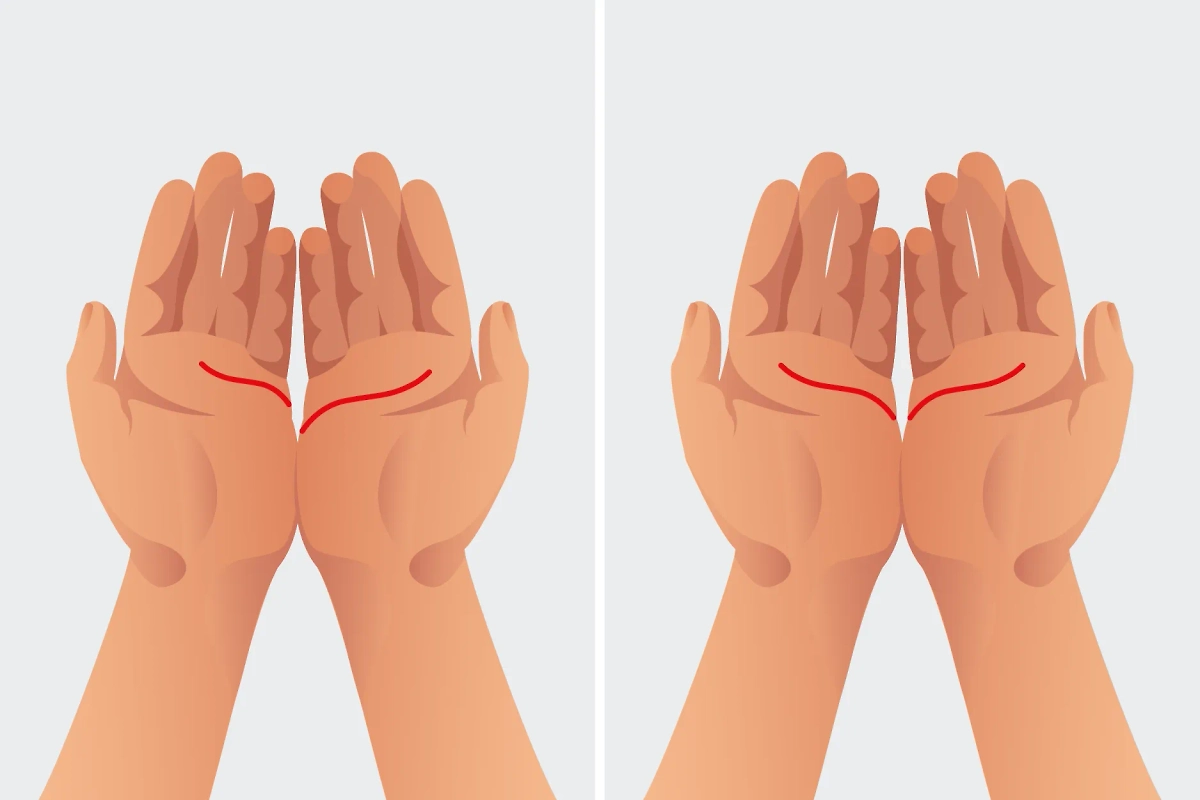 Как определить характер по руке. Изображение © Life.ru