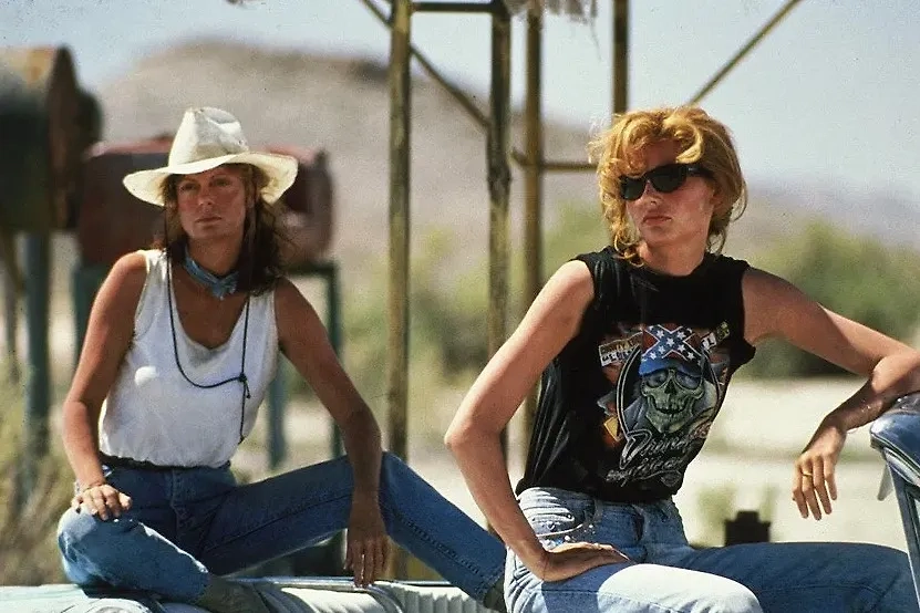 Джина Дэвис в роли Тельмы и Сьюзан Сарандон в роли Луизы. Фото © Фильм «Тельма и Луиза», режиссёр Ридли Скотт, сценарист Кэлли Кхури / Kinopoisk