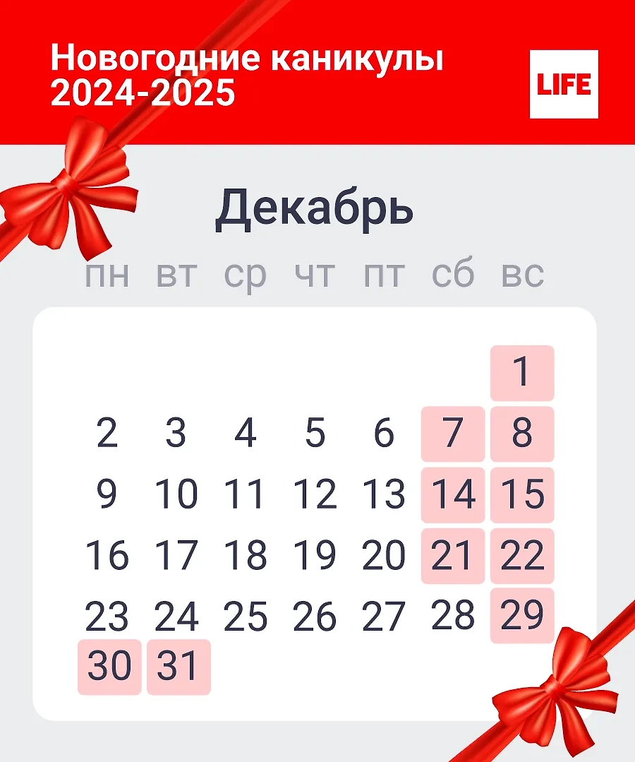 Какие дни декабря будут рабочими, а кого отпустят отдыхать. Инфографика © Life.ru