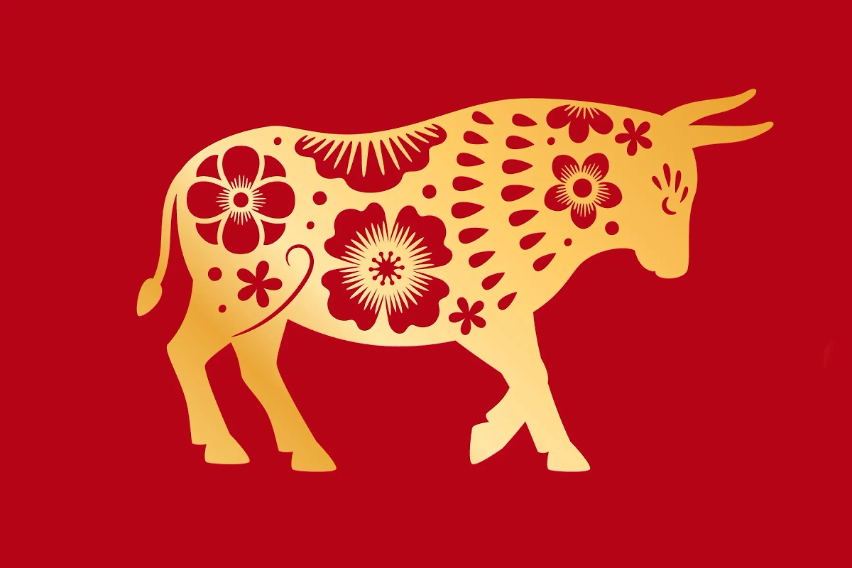 Какие знаки гороскопа разбогатеют в 2025 году. Фото © Shutterstock / FOTODOM / StockSmartStart