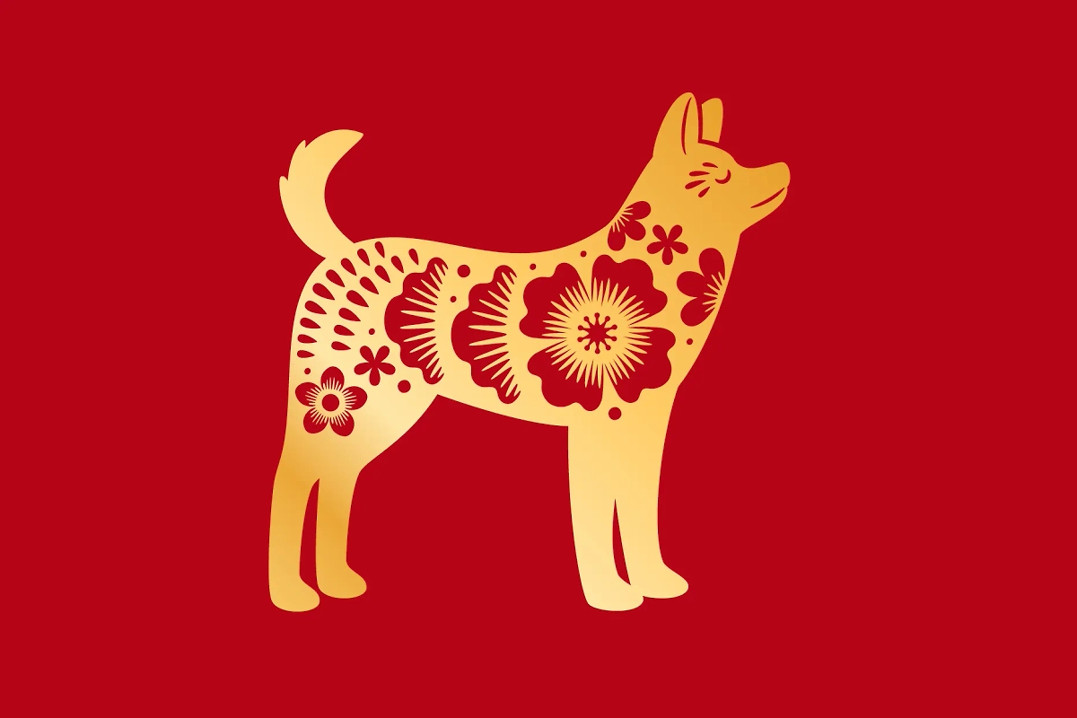 2025 год Змеи: для кого он станет лучшим. Фото © Shutterstock / FOTODOM / StockSmartStart