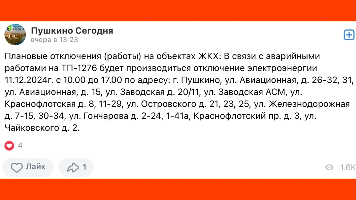 Фото © VK / Пушкино Сегодня