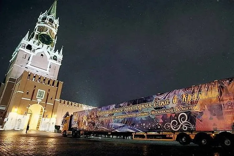 Главную новогоднюю ёлку привезли в Кремль на фуре в сопровождении полиции. Обложка © Telegram / Экология — дело каждого!