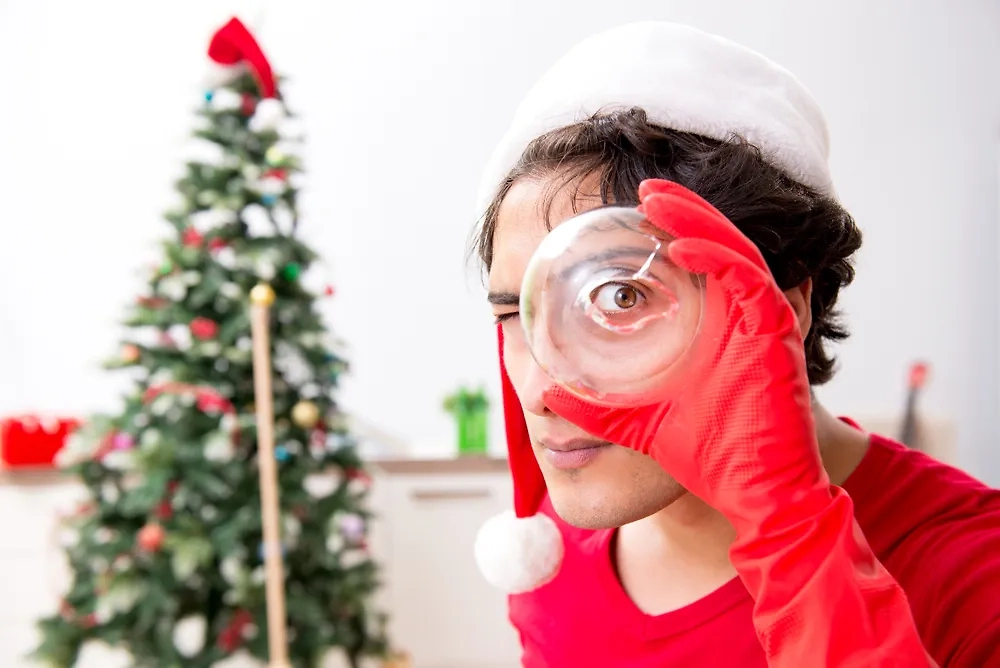 Новогодние приметы: что значит, если треснула игрушка на ёлке. Фото © Shutterstock / FOTODOM / Impact Photography