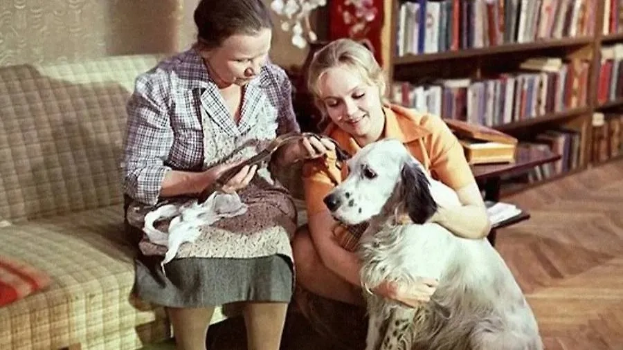 Белый Бим Чёрное Ухо, шотландский сеттер – альбинос, сыгранный английским сеттером. Фото © Кадр из фильма «Белый Бим Чёрное Ухо», режиссёр Станислав Ростоцкий, сценаристы Станислав Ростоцкий, Гавриил Троепольский / Kinopoisk