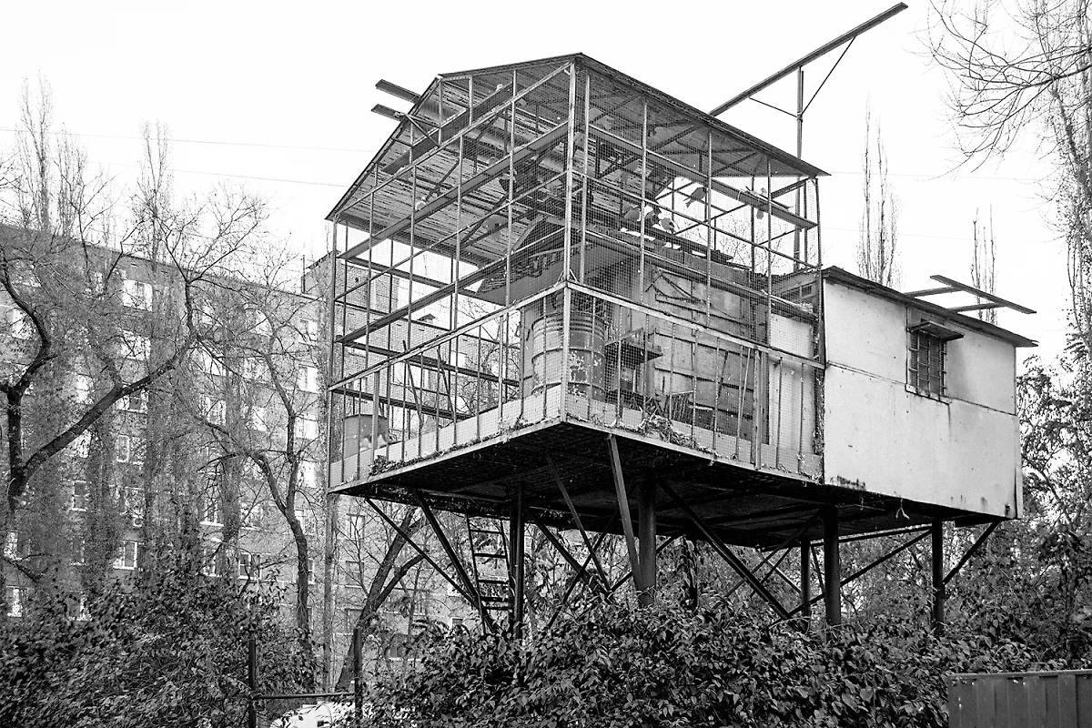 Разведение птиц в плотной городской застройке — неотъемлемая часть городской жизни в СССР.  Фото © Shutterstock / FOTODOM / VPales