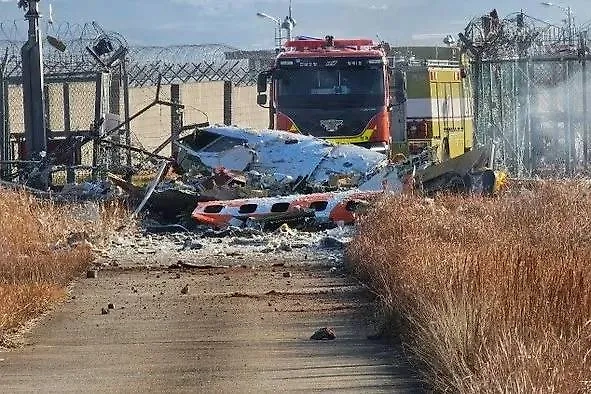 Обломки самолёта. Фото © X / Mario Nawfal