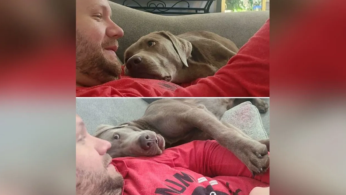 Фото © Reddit / rijoys