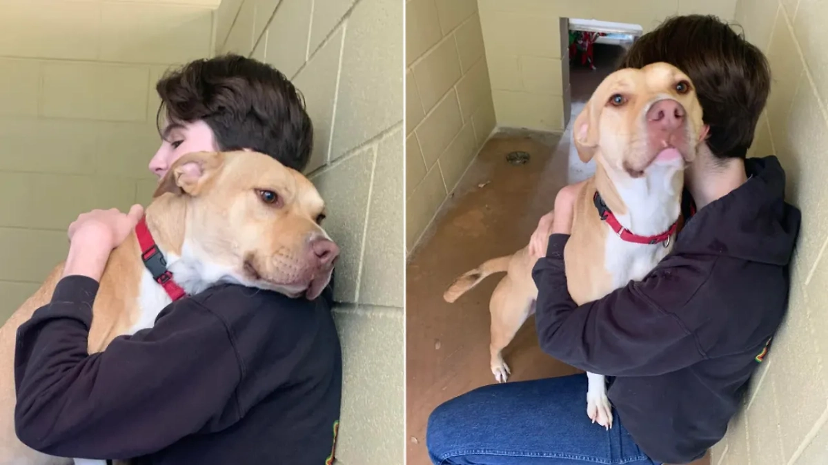 Фото © Reddit / User_876524 