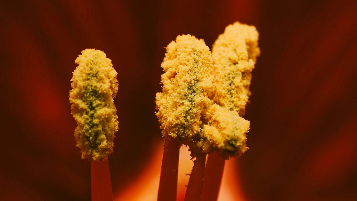 Пыльца цветов и вода — это пятно, которое вы не выведете никогда. Фото © Unsplash / Timothy Dykes