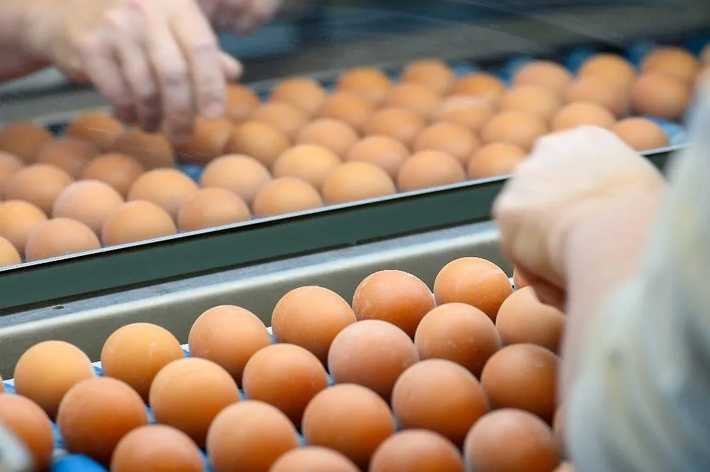 Церковь многое запрещает на Страстную среду. Но многое и разрешает. Фото © ТАСС / dpa / Klaus-Dietmar Gabbert