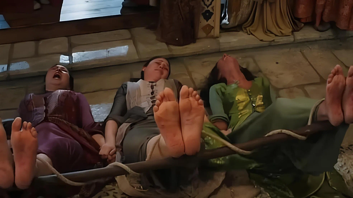 Золотая клетка: чего больше всего боялись наложницы в восточных гаремах. Фото © Кадр из сериала «Великолепный век», режиссёры Дурул Тайлан, Ямур Тайлан, Ягыз Алп Акайдын и др., сценаристы Мераль Окай, Йылмаз Шахин / Kinopoisk