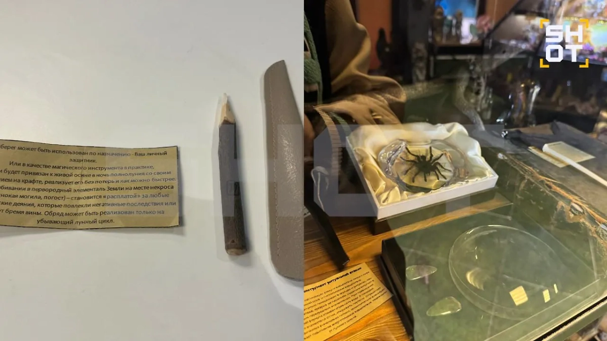 «Магические» атрибуты Александра Шепса. Обложка © SHOT