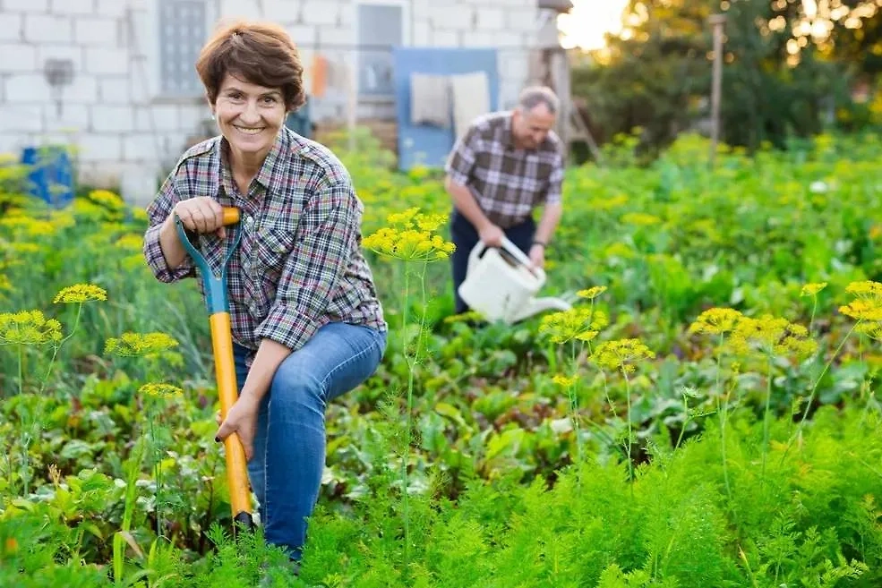 Во избежание штрафов дачникам необходимо знать о том, какая деятельность разрешена. Фото © Shutterstock / FOTODOM / Caftor
