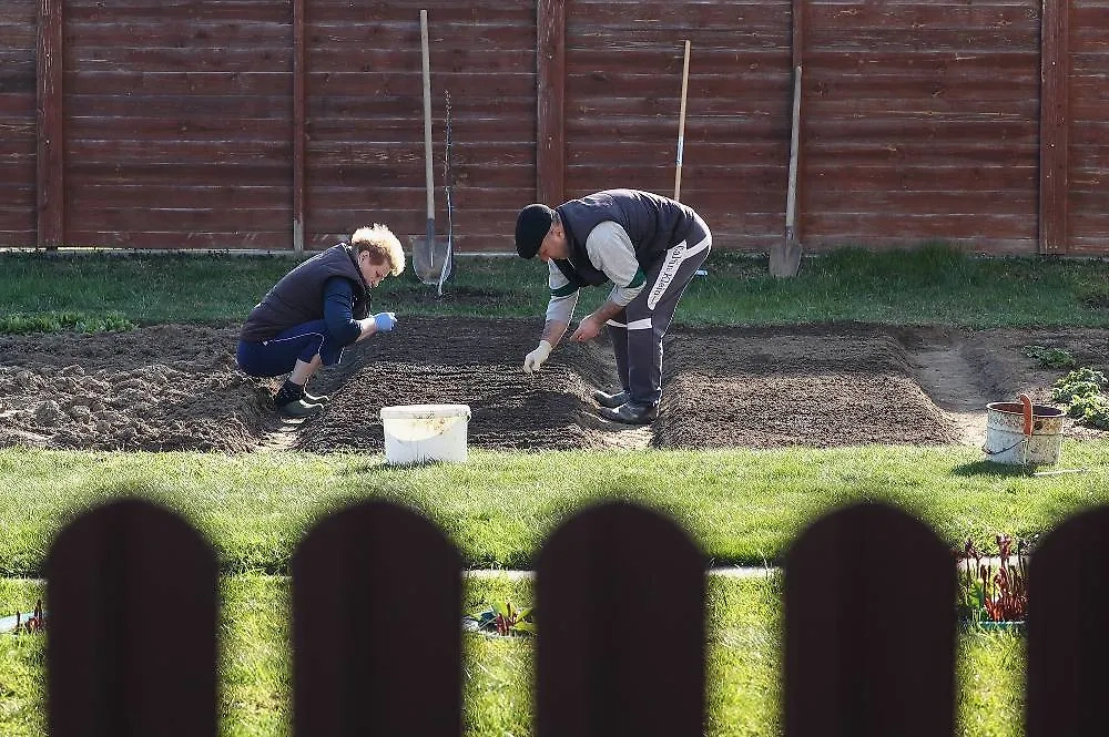 Календарь садовода поможет вам не запутаться в весенних списках работ — это очень важный период для сада. Фото © ТАСС / Антон Новодережкин