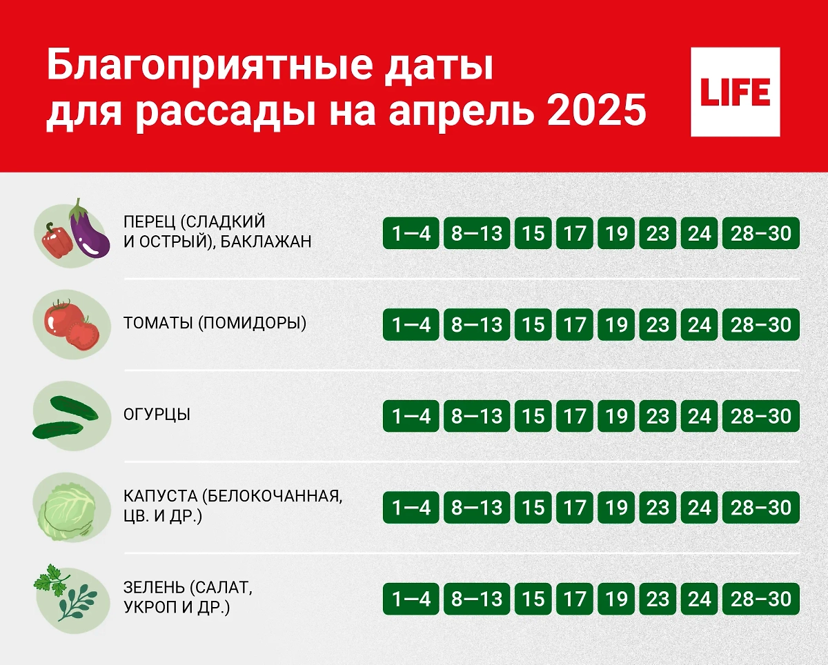 Лунный посевной календарь на апрель предлагает множество благоприятных дат. Благоприятные даты для рассады на апрель 2025. Инфографика © Life.ru