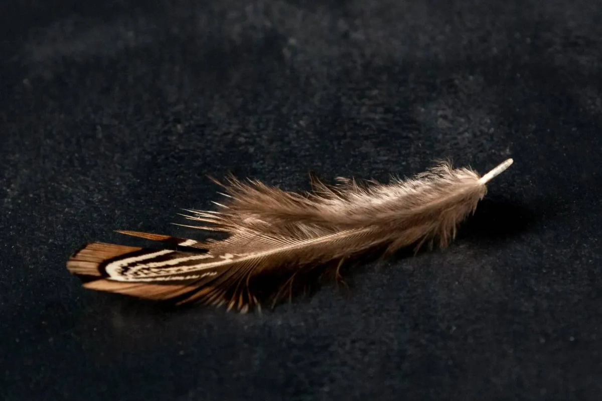 Ведьмы и колдуны веками практиковали искусство подклада. Фото © Freepik