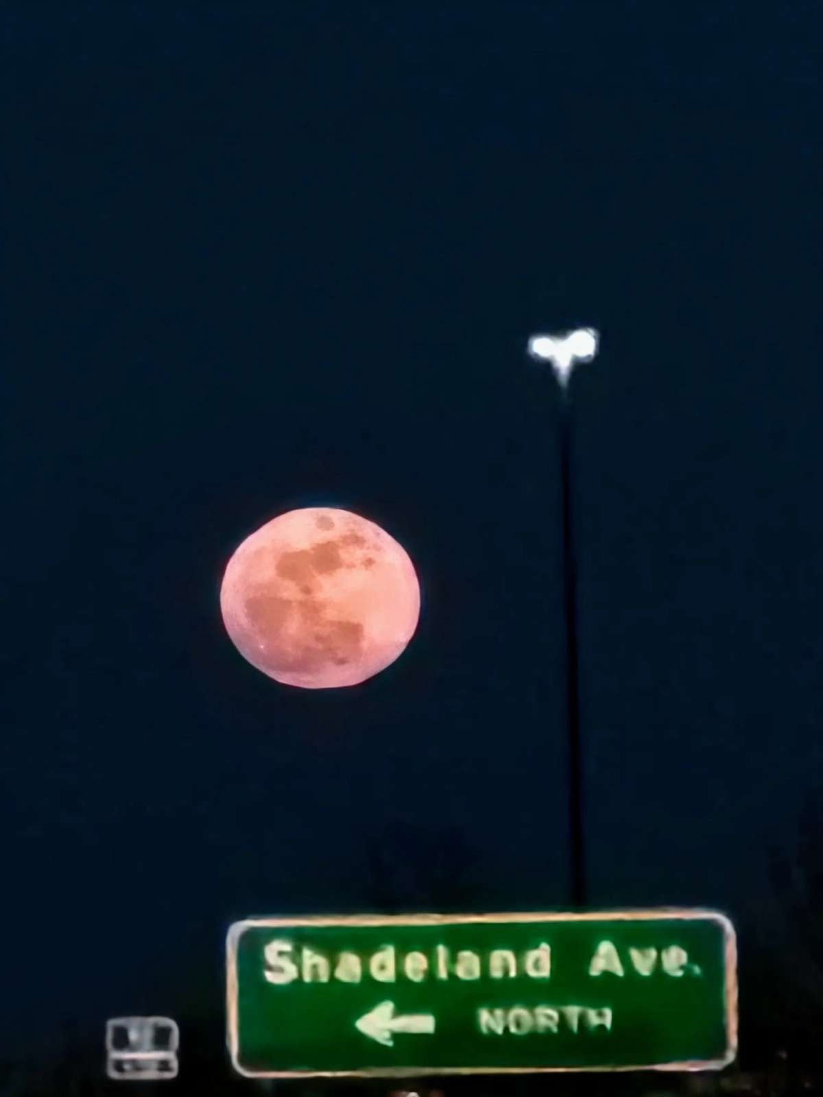 Розовая Луна в США. Фото © Х / WilderRob4132