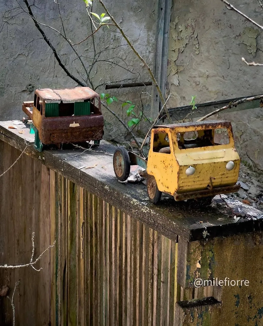 Фото © Instagram (признан экстремистской организацией и запрещён на территории Российской Федерации) / milefiorre
