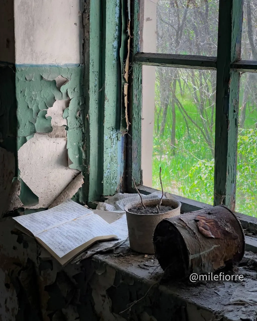 Фото © Instagram (признан экстремистской организацией и запрещён на территории Российской Федерации) / milefiorre