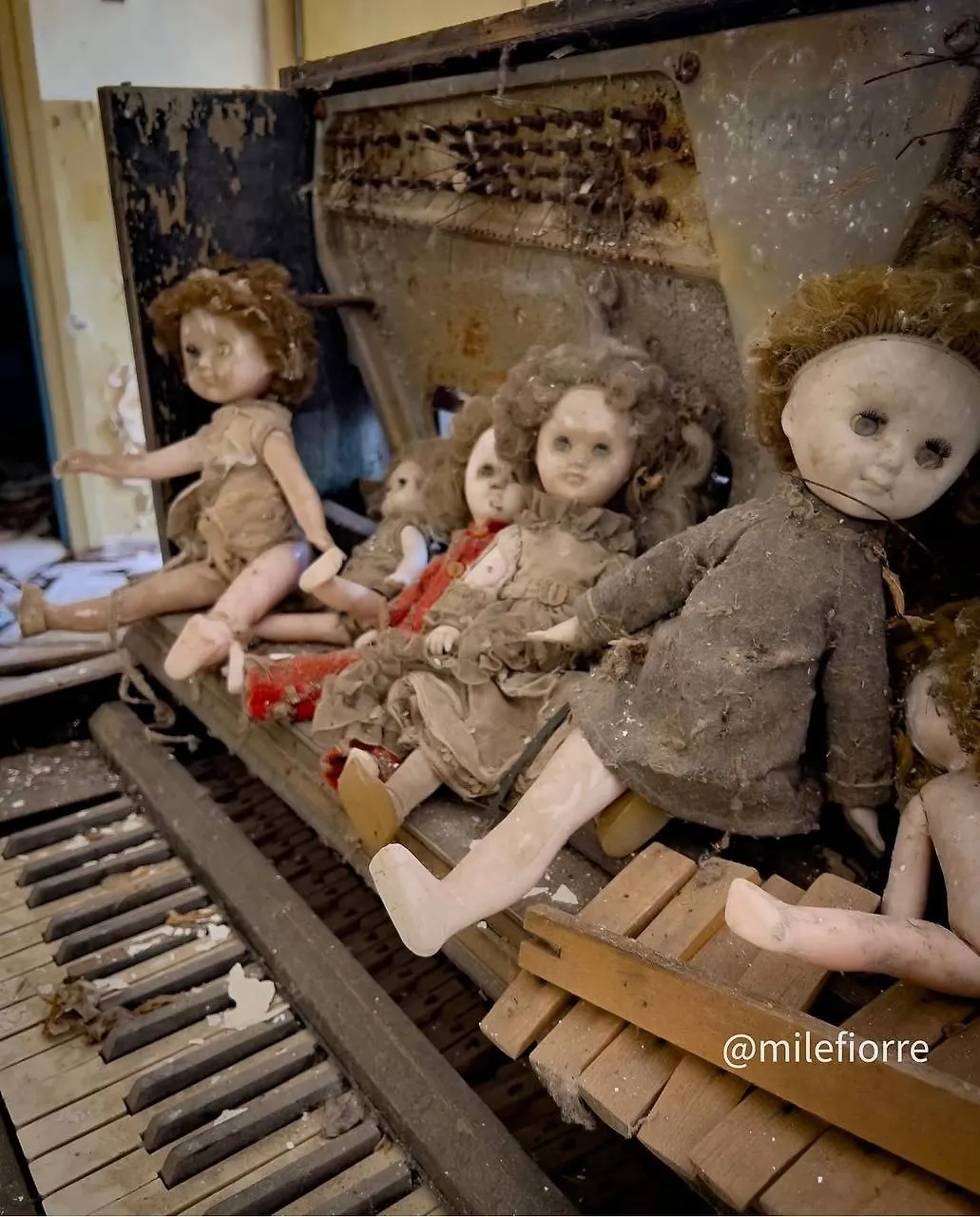 Фото © Instagram (признан экстремистской организацией и запрещён на территории Российской Федерации) / milefiorre