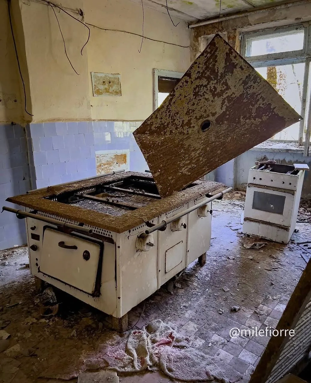 Фото © Instagram (признан экстремистской организацией и запрещён на территории Российской Федерации) / milefiorre