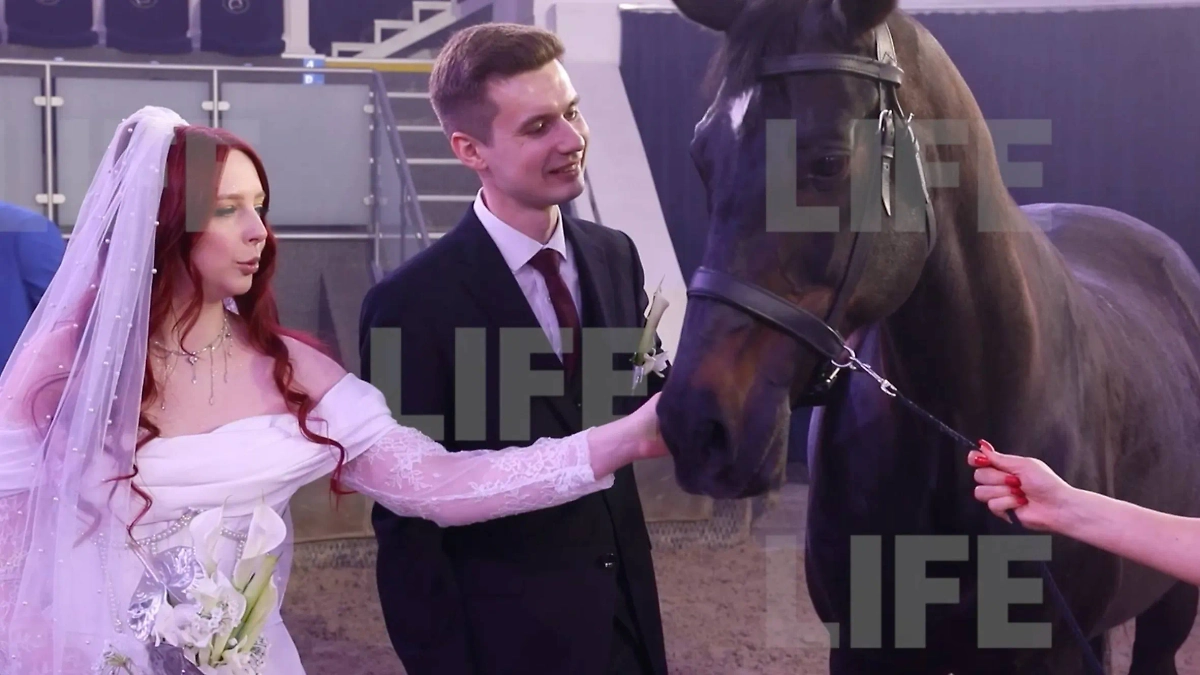 Свадебный сезон-2025: как Москва удивила молодожёнов. Фото © Life.ru