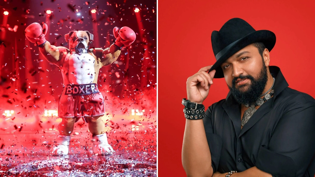 Четвёртое место в финале шоу «Маска» занял Боксёр. Кто скрывался под маской? Фото © VK / «Маска», © Wikipedia / Aisliesh