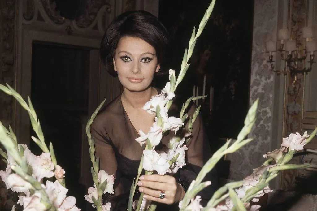 Секрет Софи Лорен — уверенность в своей красоте, несмотря на стандарты. Фото © ТАСС / ASSOCIATED PRESS