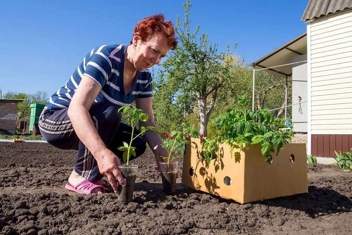 Календарь садовода и огородника на май также предупреждает, что в некоторые дни садовыми работами лучше не заниматься. Фото © Shutterstock / FOTODOM / VPales