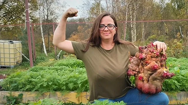 Свёкла на 7 кг 730 г: невероятные рекорды России. Фото © VK / Реестр рекордов России