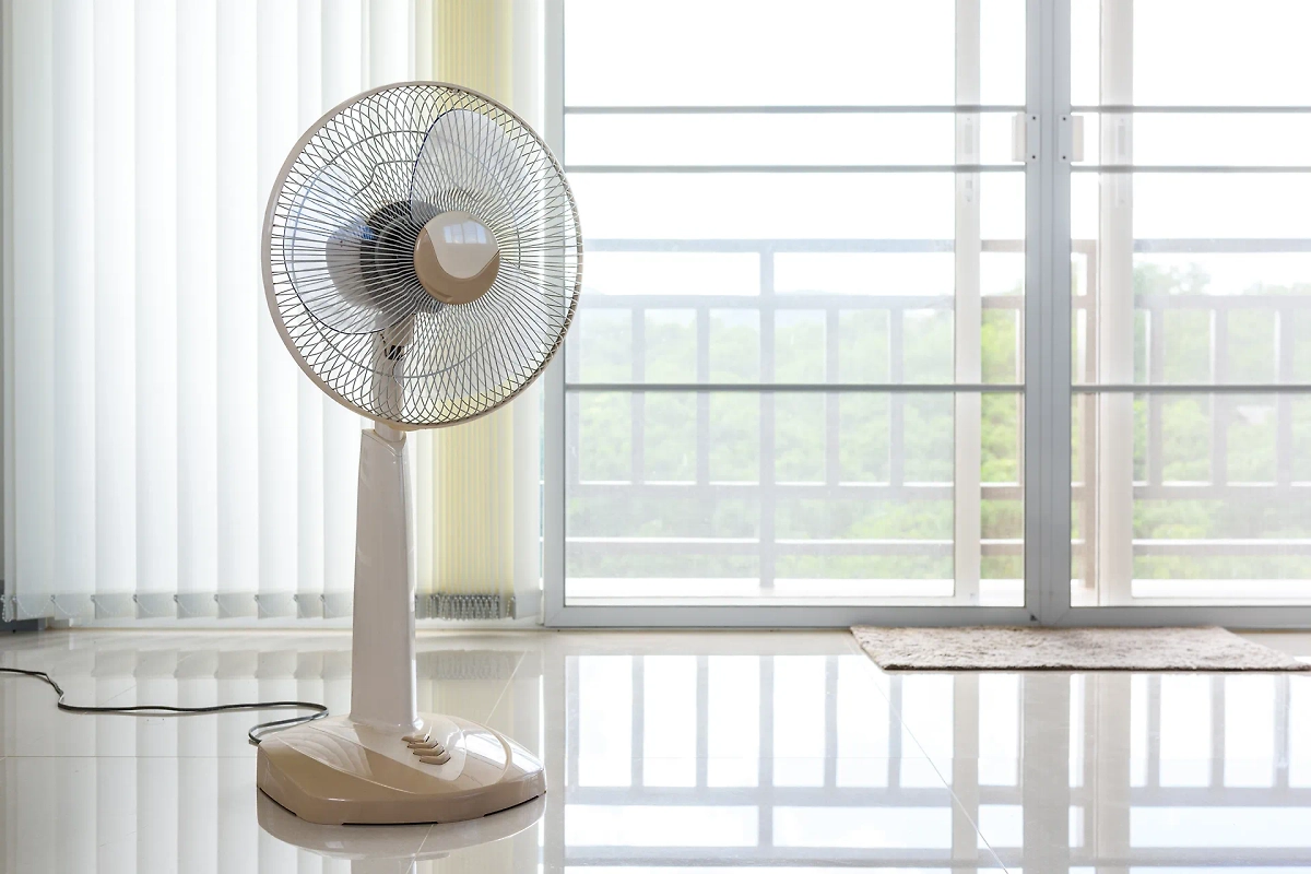 Комаров можно отогнать вентилятором. Фото © Shutterstock / FOTODOM / bouybin