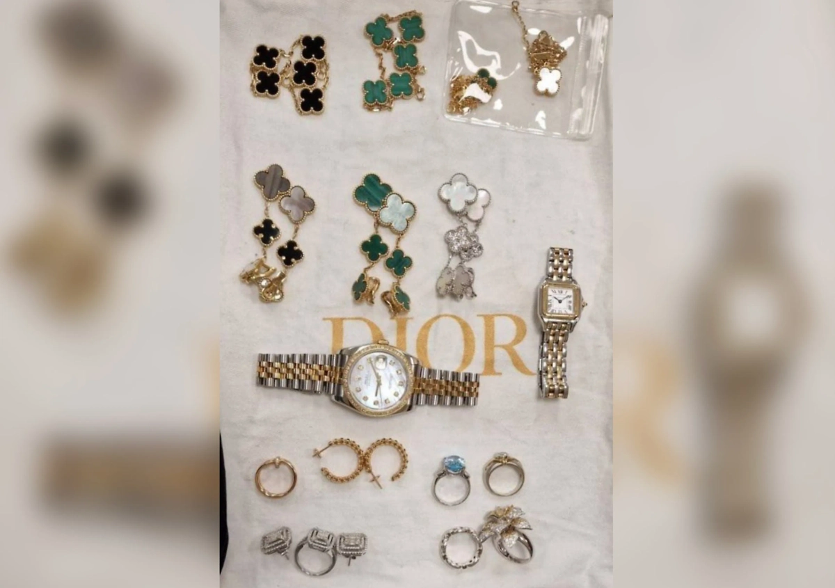 В Домодедове задержали пассажирку с незаконной ювелиркой. Фото © ФТС России