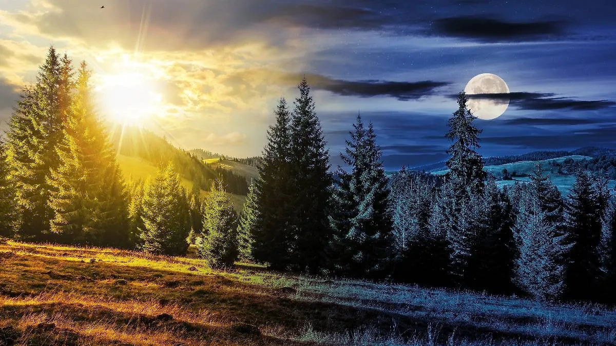 Почему в славянском календаре было только три времени года вместо четырёх. Фото © Shutterstock / FOTODOM / Mike Pellinni