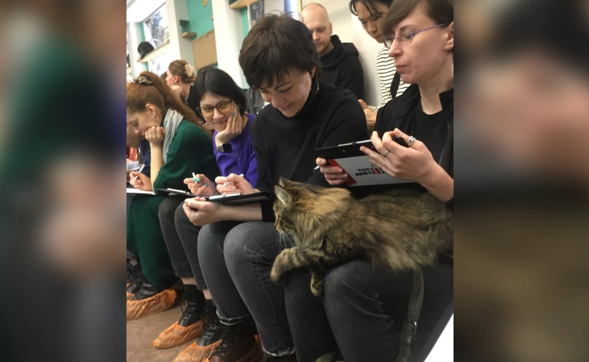 Тотальный диктант в котокафе. Фото © VK / Республика кошек и котов